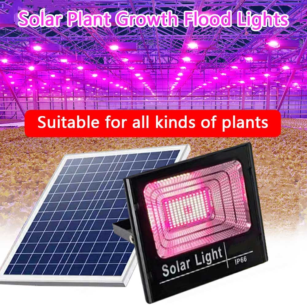 Güneş LED büyümek işık tam spe - Outdoor Power And Plant incelemesi ve fiyatı