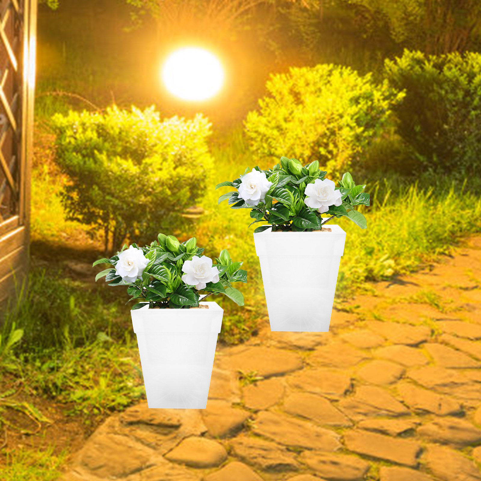 Parlayan Kare Saksı Güneş Ener - Outdoor Power And Plant incelemesi ve fiyatı