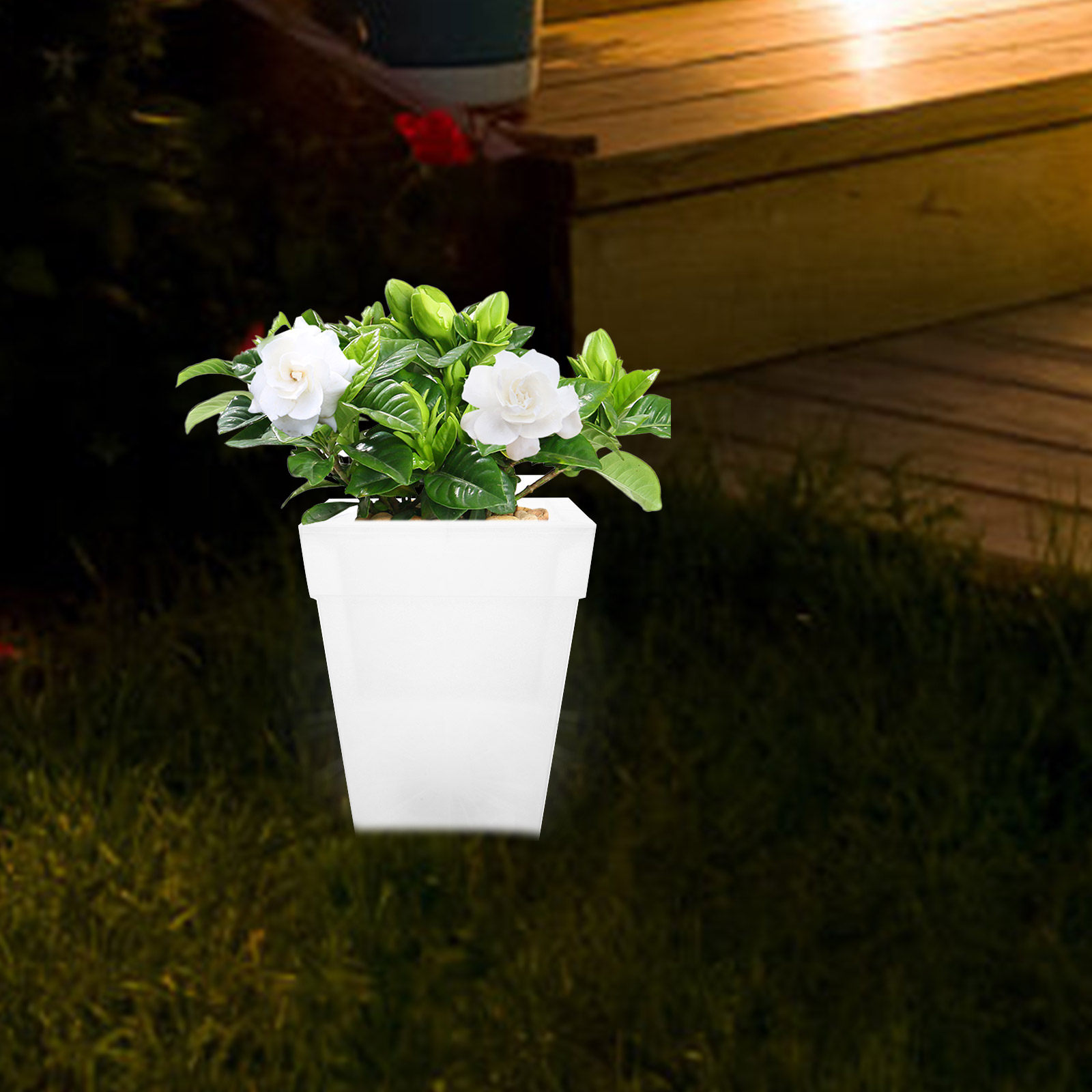 Parlayan Kare Saksı Güneş Ener - Outdoor Power And Plant incelemesi ve fiyatı
